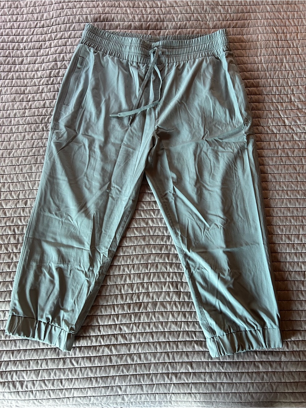 Woman’s Drawstring Jogger Pants in XL Sage Green